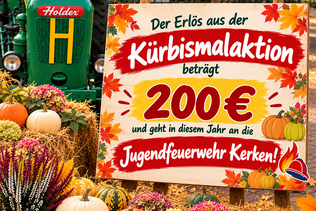 Erfolgreiche Kürbismalaktion auf dem Herbstfest
